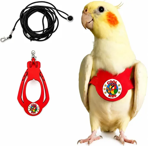Miniatura 20 de Juego de arnés ajustable y correa para pájaros pequeños, apto para periquitos, conures, cacatúas, mejillas verdes, loros cuáqueros (verde, XS) 6350-6