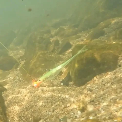 Miniatura 9 de Dr.Fish Señuelos de plástico suave, cebos de cola de horquilla suaves, cebos de natación suaves Jerk Shad de 3 a 4-3/4 pulgadas, cebos de pesca
