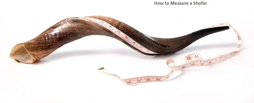 Miniatura 6 de Auténtico shofar yemenita Kudu – Sonido Resonante Profundo (30"-32") – Juego completo con bolsa de menorá, guía y caja de transporte – Hecho a mano