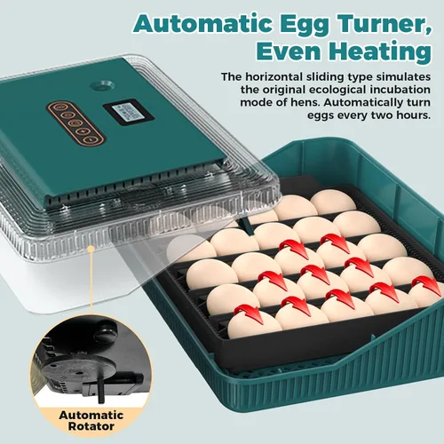 Miniatura 4 de Incubadora de 25 huevos, incubadoras para incubar huevos, con giro automático de huevos y control de humedad, vela de huevos, reposición automática