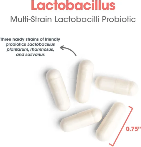 Miniatura 5 de Allergy Research Group Lactobacillus 100 cápsulas vegetales