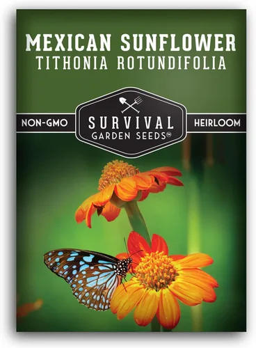 Survival Garden Seeds - Semilla de girasol mexicano para plantar - Paquete con instrucciones para plantar y cultivar Tithonia Rotundifolia en tu