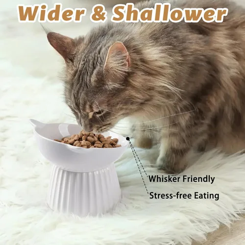 Miniatura 5 de Tazón elevado de cerámica para gatos, tazón inclinado elevado anti-vómito para gatos de interior, amigable con las patas de los gatos, comedero