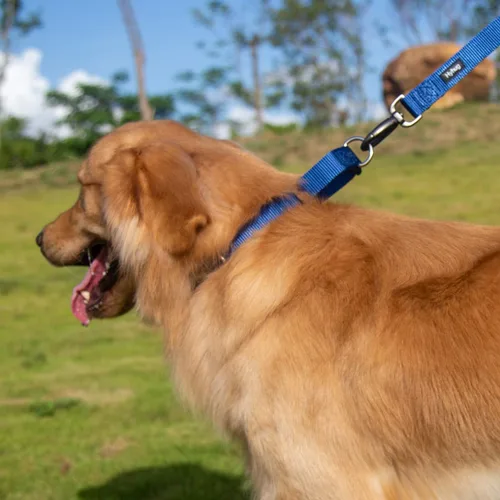 Miniatura 3 de Hyhug Collar Martingale para perros, grande, azul, a prueba de escape, nailon resistente, duradero, sin tirones, ideal para entrenamiento y paseos