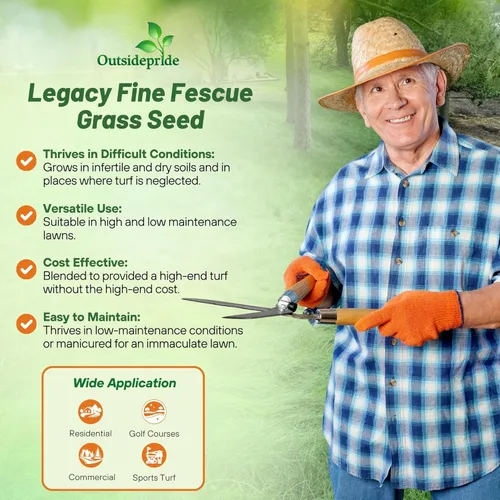 Miniatura 2 de Outsidepride Legacy Fine Fescue - Mezcla de semillas de césped – 50 libras. Mezcla tolerante a la sombra y al sol de festuca dura, festuca