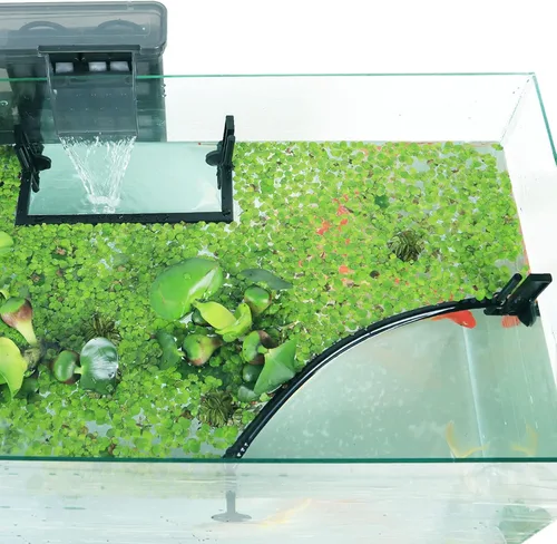 Miniatura 8 de HOZOE Jaula Flotante para Plantas de Acuario, Plantas Flotantes que Impiden el Paso de Filtros y Calentadores, Altura Ajustable con Nivel de Agua