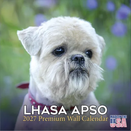 Miniatura 46 de Calendario Collie 2025 2026 – Calendario mensual de pared de raza de perro – 12 x 24 pulgadas abierto – Papel grueso que no se corre – Regalar