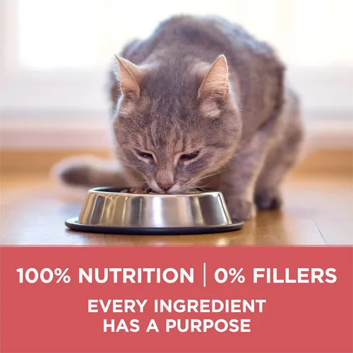 Miniatura 7 de Purina ONE Alimento Natural para Gatos Bajo en Grasa, Alimento Seco para Control de Peso en Interiores Alto en Proteína Más Ventaja para Interiores
