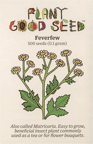 Plant Good Seed Semillas de matricaria - Paquete de 500, semillas tradicionales para plantar hierbas, flores, suministros de jardinería, flores