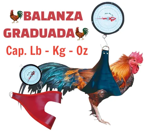 Miniatura 4 de Báscula colgante con bolsa de apoyo para pesar gallos - Báscula graduada para pesar gallos Bascula Graduada para pesar Aves