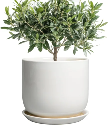 Miniatura 54 de Maceta de Cerámica para Plantas de Interior de 5 Pulgadas - Maceta Redonda para Plantas Suculentas con Agujero de Drenaje y Platillo, Decoración