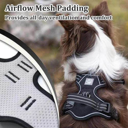 Miniatura 4 de Arnés de chaleco para perros - Acolchado ajustable reflectante con diseño fácil de poner y accesorio de correa (S, negro)
