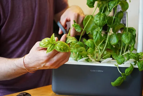 Miniatura 4 de Click & Grow Smart Garden 3 - Kit de jardinería para interiores (incluye cápsulas de albahaca)