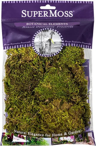 SuperMoss (21743 Hoja de musgo pequeño (piezas pequeñas) conservadas, verde fresco, 2 onzas