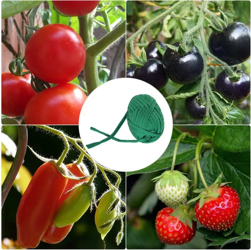 Miniatura 4 de BBTO Cordel de jardín suave para plantas, lazo verde para jardín, cinta elástica de jardinería, soporte de plantas para atar el hogar, plantas