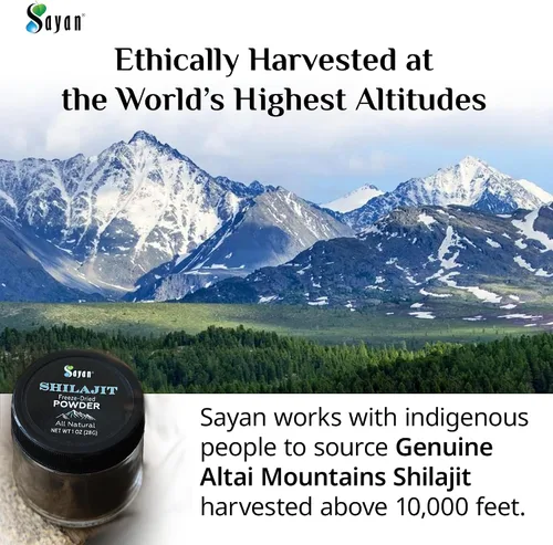 Miniatura 3 de Sayan Polvo puro de Shilajit de 1 onza/0.99 oz, suministro de 5 meses, potente suplemento de ácido fúlvico orgánico, apoya el sistema inmunológico