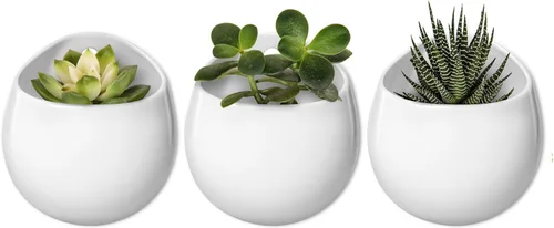 Mkono Maceta redonda de cerámica de 4 pulgadas para colgar en la pared, jarrón decorativo para plantas de interior, juego de 3, color blanco