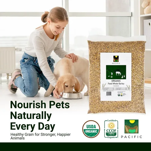 Miniatura 4 de Pacific Organic Petfood Organic Feed - Cebada entera descascarada Rica en fibra y minerales Cebada de grano entero Cebada orgánica certificada