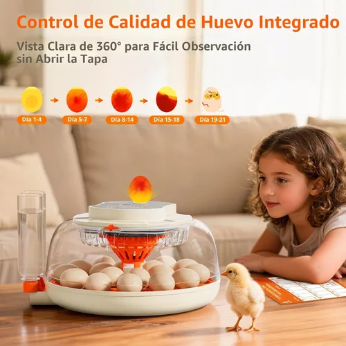 Miniatura 6 de APDOE Incubadoras de huevos para incubar huevos, control de temperatura y humedad, giro automático de huevos, vela de huevos, botella de agua
