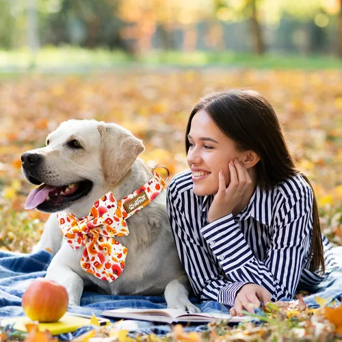 Miniatura 3 de Tunkoo Collar de perro con bonito patrón de calabaza y pavo con corbatín, duradero, ajustable y elegante, collar para mascotas de Acción de Gracias