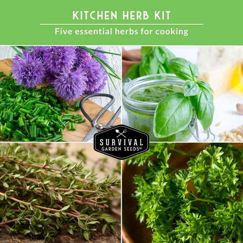 Miniatura 6 de Survival Garden Seeds Culinary Herb Collection - Bóveda de semillas de perejil rizado, cilantro, albahaca, cebollino, tomillo, semillas de reliquia