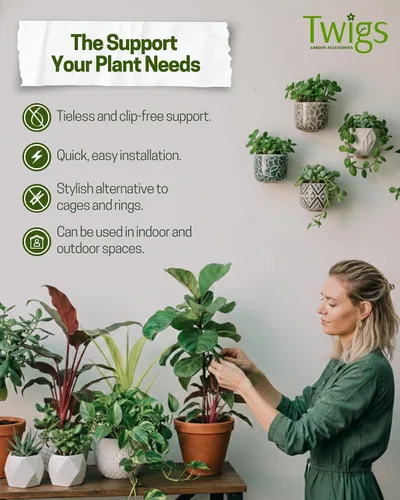 Miniatura 2 de Twigs GA - Estacas de soporte para plantas para uso en interiores y exteriores, alternativa duradera de enrejado para plantas trepadoras