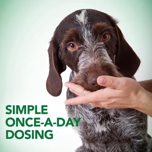 Miniatura 4 de Vet's Best Suplementos probióticos masticables suaves para perros Apoya la salud digestiva del perro Promueve un intestino saludable