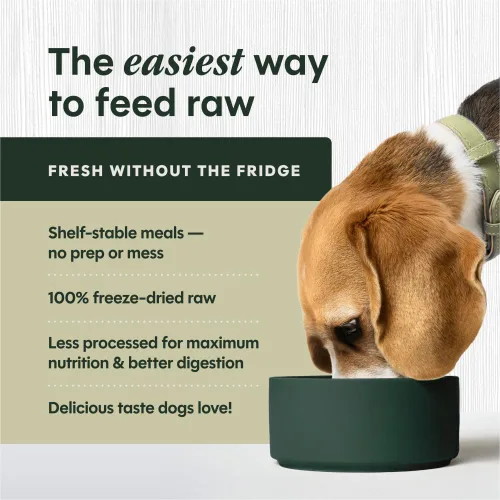 Miniatura 3 de Instinct Comidas crudas liofilizadas, alimento seco natural para perros, sin granos, cordero alimentado con hierba, bolsa de 24 onzas