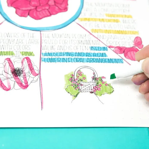 Miniatura 5 de Paquete de bolígrafos retráctiles Zebra Pen Z-Grip, punta media, 0.039 in, tinta negra, 18 unidades, + juego de resaltadores Zebra Pen Mojini, punta