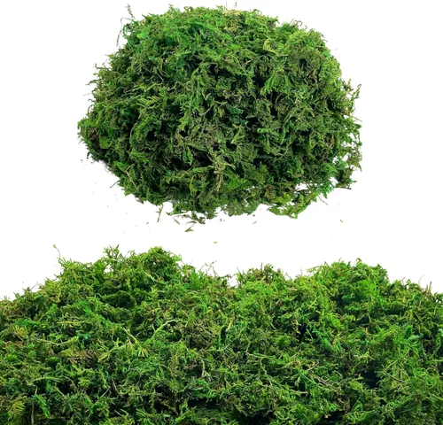 Musgo verde para manualidades, musgo artificial decorativo para plantas en maceta, orquídea sintética, musgo, mezcla de tierra, turba, esfagno,
