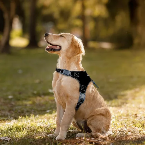 Miniatura 7 de Arnés magnético para cachorros y correa con hebilla de liberación rápida, fácil de poner y quitar, arnés de perro de piel sintética y correa