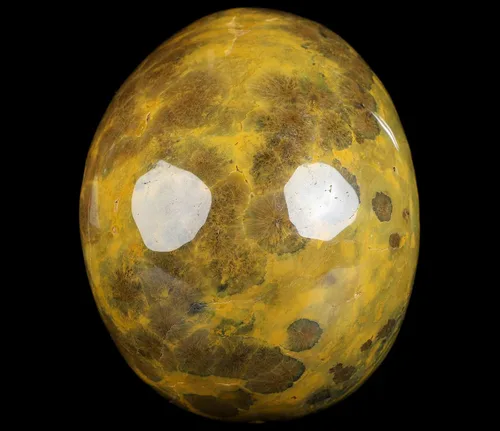 Miniatura 5 de Skullis Calavera de cristal de jaspe oceánico, escultura de arte fino de piedras preciosas talladas a mano, estatua de piedra curativa de Reiki.3208