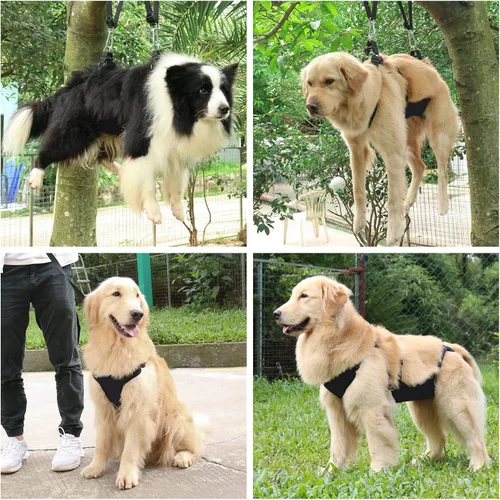 Miniatura 8 de Hamaca de aseo para perros 2 en 1 con correa multifunción, arnés sin tirones, bucle ajustable y ganchos de acero inoxidable, para gatos y perros
