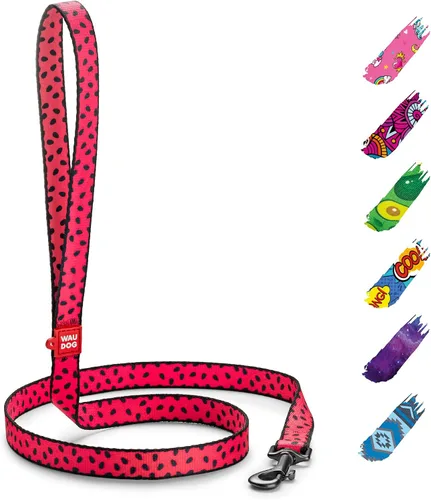 Miniatura 15 de WAUDOG Correa de nailon para perro, 4 pies, fuerte y resistente para perros y cachorros grandes y medianos