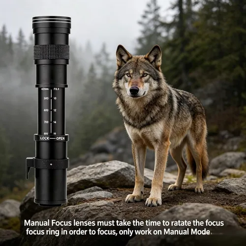 Miniatura 7 de JINTU 420-800mm f/8.3 Lente Zoom Telefoto Manual + Montura T para Canon EOS Rebel SL2 SL1 T3 T3i T4i T5 T5i T6 T6i T6s T7 T7i 4000D 6D 7D 60D 70D