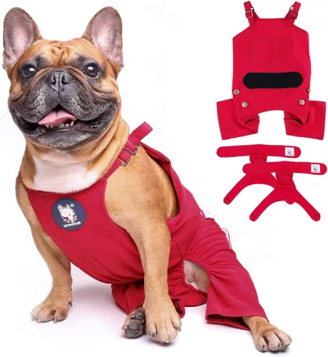 Miniatura 8 de iChoue Lindos pañales para perro con tirantes para bulldog francés, pug francés, bulldog inglés, hembra, en ciclo de calor, azul, pequeño con 1 pañal