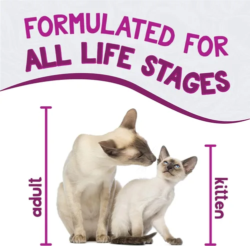 Miniatura 2 de Earthborn Holistic Harbor Harvest - Alimento enlatado para gatos sin granos, 5.5 onzas, caja de 24, beige (71523)