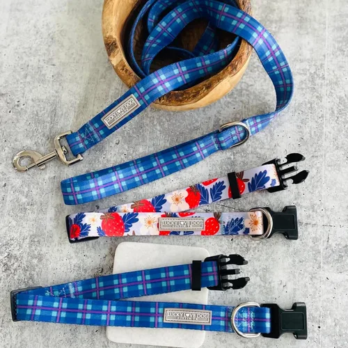 Miniatura 52 de Lucky Love Dog - Collar de perro ajustable con hebilla de fácil clic para los grandes, duradero y cómodo para perros machos y hembras, collar
