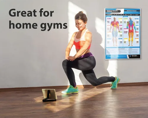 Miniatura 2 de Póster de gimnasio para grupos musculares y ejercicios, laminado, EXTRAGRANDE 33" x 23.5", tabla de pared de gimnasio y fitness en casa, incluye