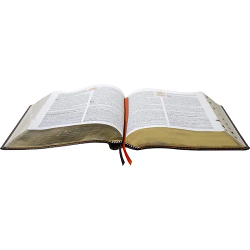 Miniatura 3 de Biblia de Estudio Teológico Reina Valera 1960 Piel Fabricada Negro con Index (Spanish Edition) Imitation Leather – 30 Julio 2019