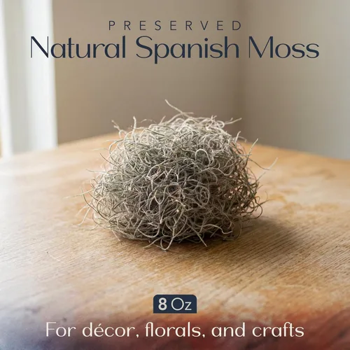 Miniatura 2 de Royal Imports Musgo español natural preservado, trozos sueltos triturados secos frescos, bolsa de 8 onzas