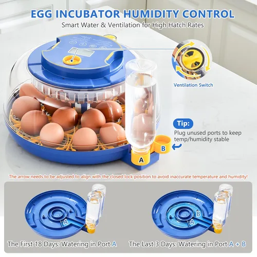 Miniatura 3 de Incubadoras para incubar huevos - Capacidad para 18 huevos, incubadora de huevos con giro automático de huevos y control de temperatura, incubadora