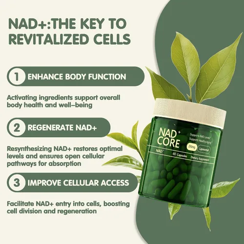 Miniatura 6 de NAD+ - Suplemento de ribósido de nicotinamida - Extra Fuerza NAD alternativa liposomal, apoya el envejecimiento saludable para mujeres y hombres, 60