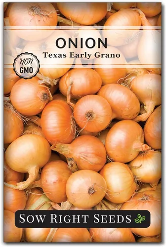 Sow Right Seeds - Semillas de cebolla granada temprana de Texas para plantar - Paquete de reliquia sin OMG con instrucciones para plantar un huerto