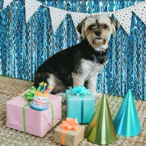 Miniatura 6 de Decoraciones de fiesta con serpentinas azules, fondo de flecos azul pálido, decoración de cumpleaños azul claro, favor de cumpleaños de Frozen