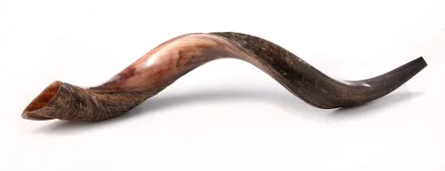 Miniatura 2 de Auténtico shofar de cuerno kudu yemenita – Instrumento bíblico espiritual para adoración judía y cristiana, oración y festivales – Incluye spray