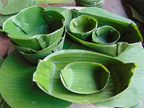 Miniatura 3 de Hojas Frescas de Plátano 1 Lb. Hoja de Platano