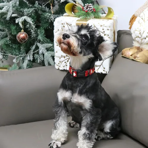 Miniatura 5 de Aring Pet Collar navideño para perro, lindo, ajustable, de algodón, para cachorros, perros pequeños, medianos y grandes, rojo, Papá Noel, unisex Z