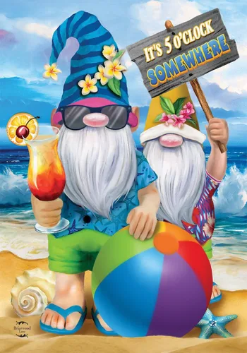 Miniatura 11 de Beach Life - Bandera náutica Adirondack para casa de verano, sillas de 28 x 40 pulgadas Briarwood Lane