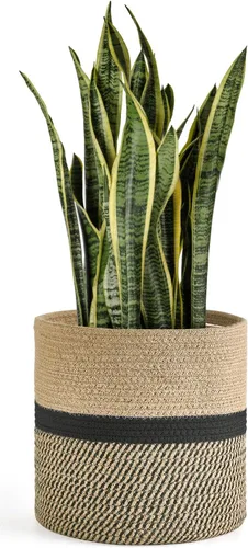 Miniatura 12 de Dahey - Cesta tejida pequeña de cuerda de algodón para plantas, cesta enrollada para macetas de hasta 7 pulgadas, cesta decorativa para cubrir